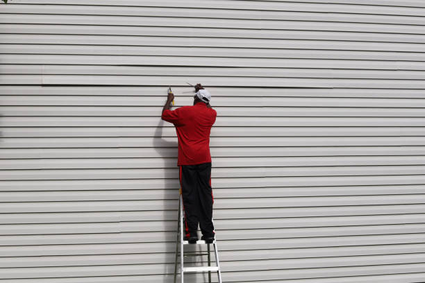 Best James Hardie Siding  in Allegan, MI